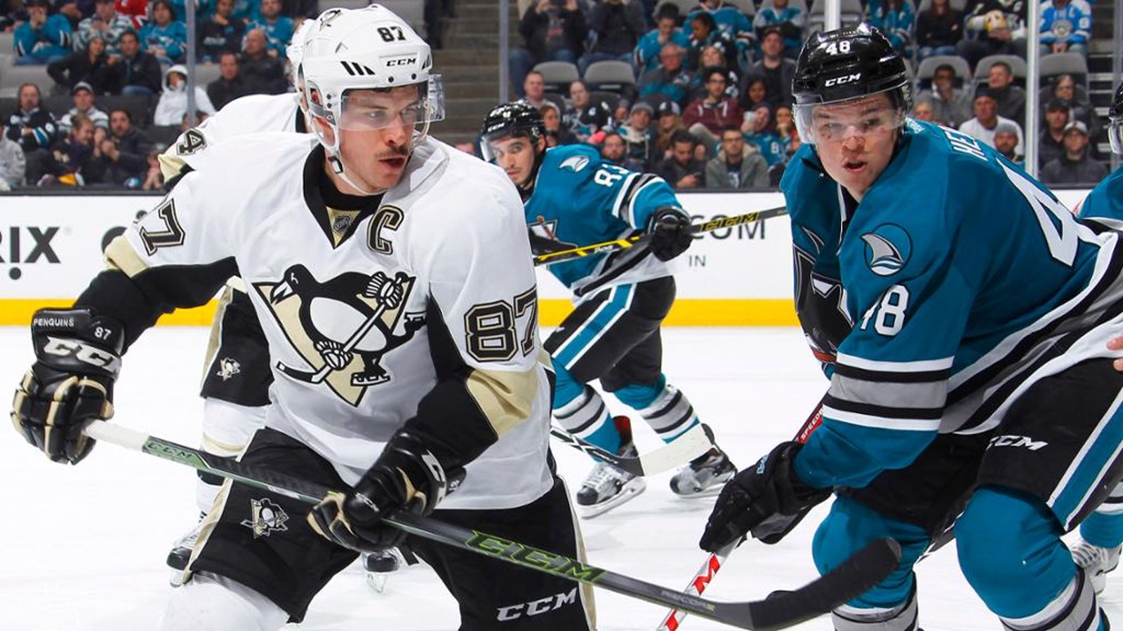 Pens and Sharks players could be contaminated by employee with coronavirus on March 3 