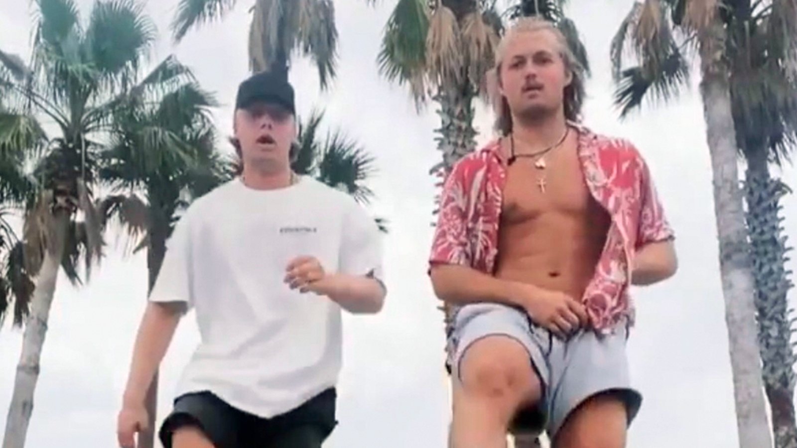 Nylander brothers show off dance moves in embarrassing Tik-Tok video