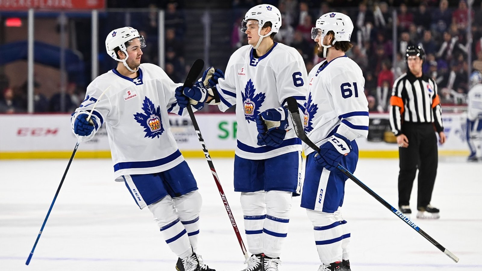 Maple Leafs call up a pair of defenseman on Monday.
