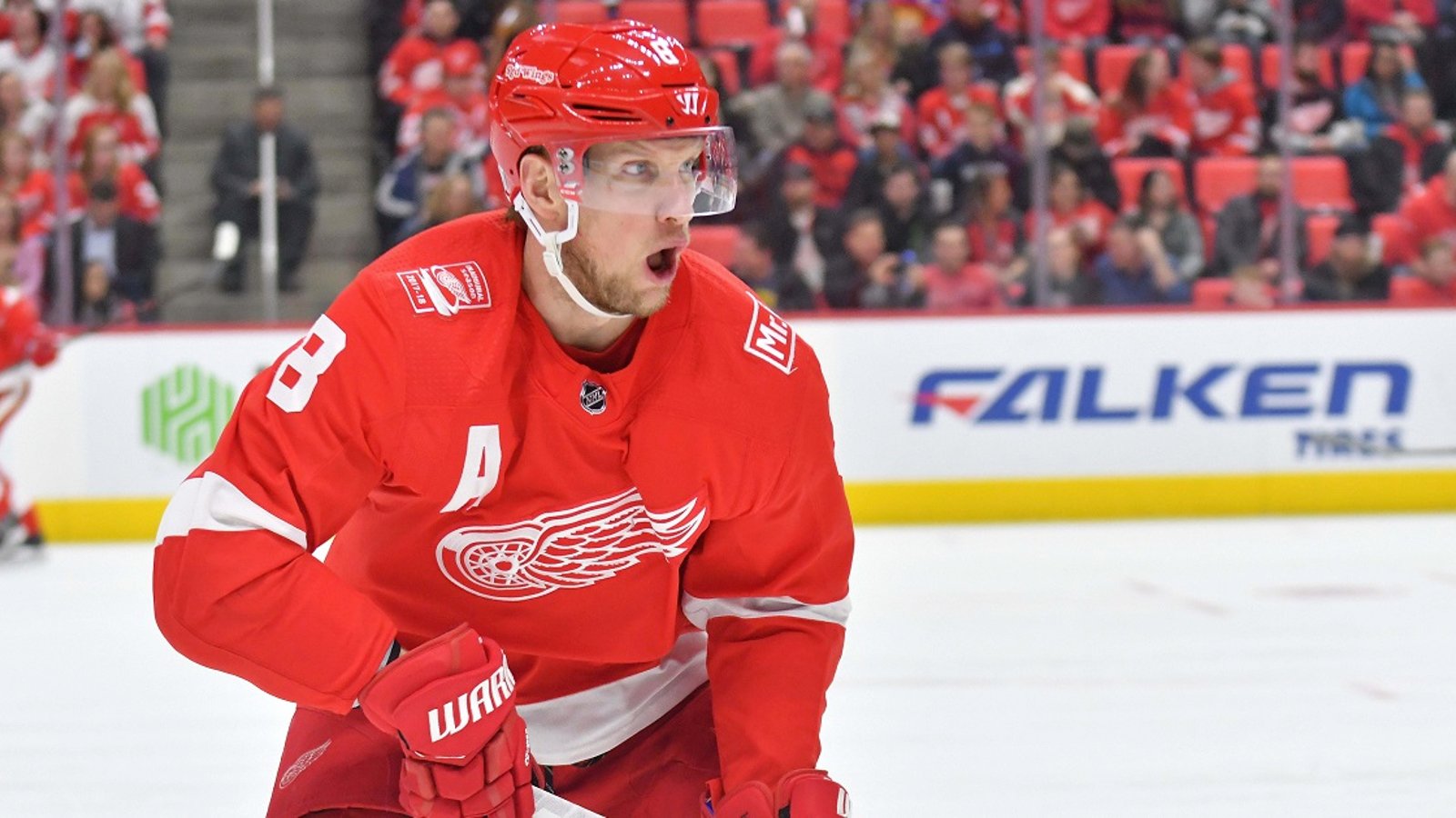 4 Red Wings get an “F” grade for their performance this season.