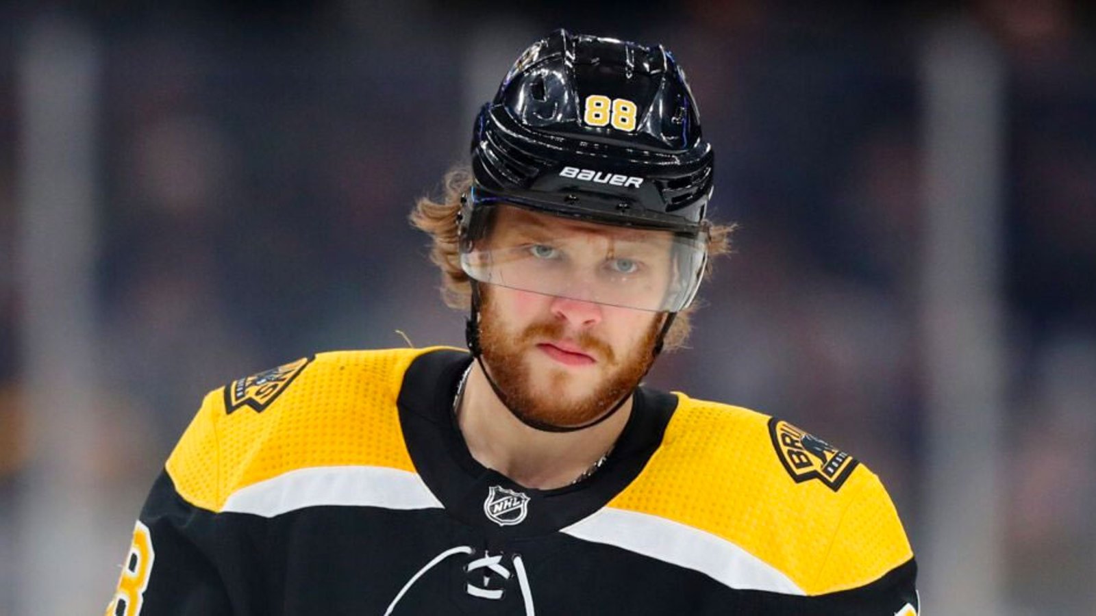 Bruins’ Cassidy openly blames Pastrnak following playoff elimination! 