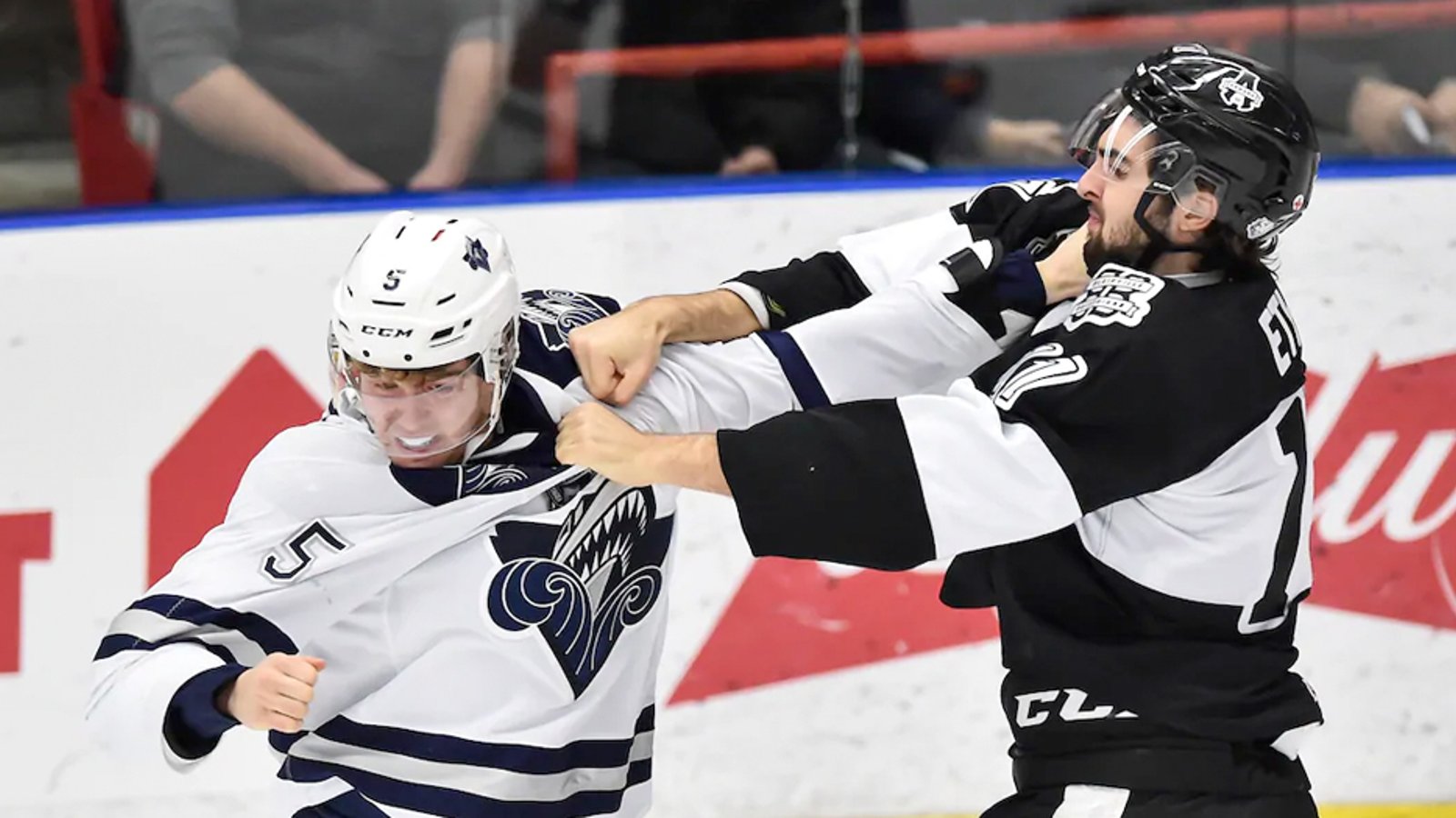 QMJHL set to eliminate fighting from the sport