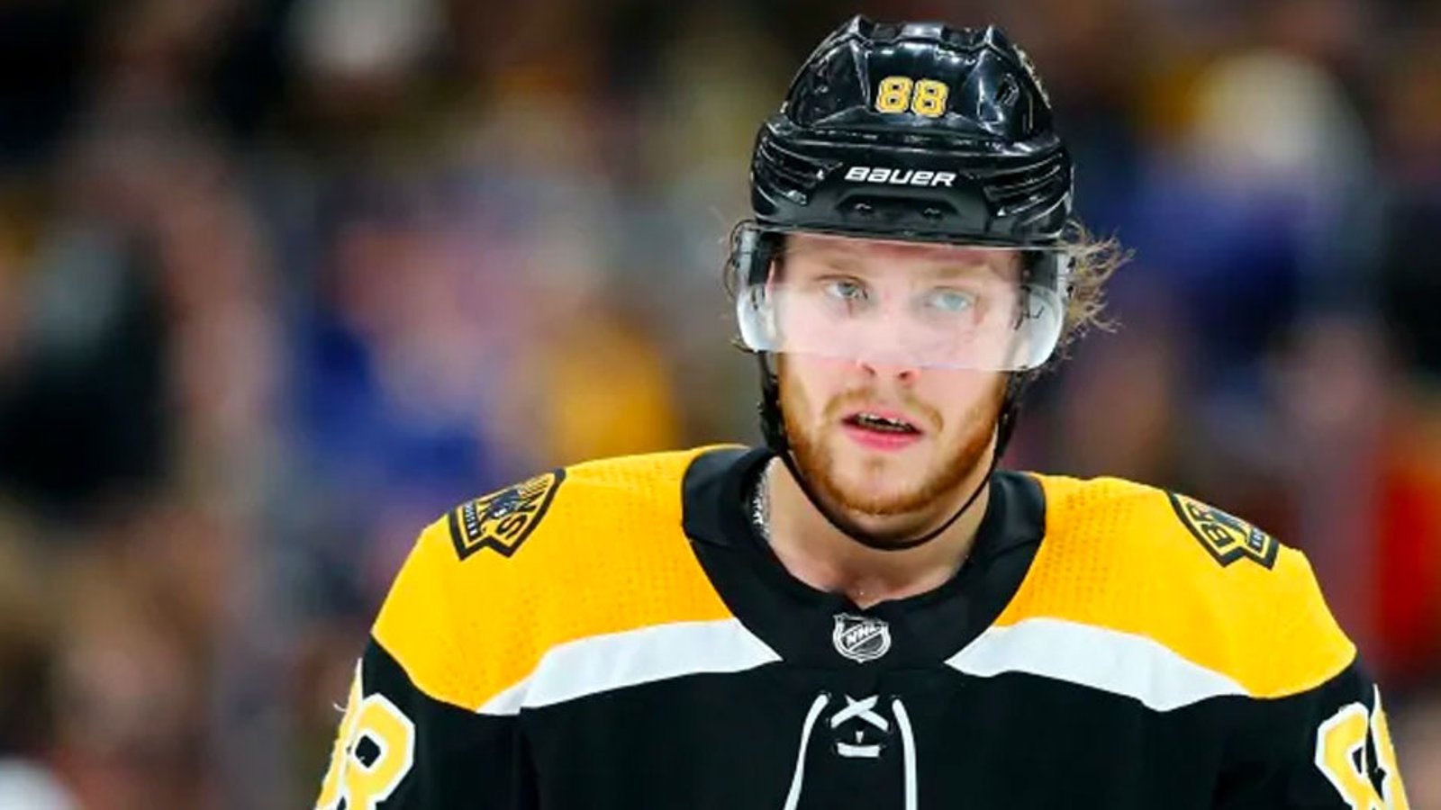 Two Bruins, including Pastrnak, deemed “unfit” to take part in practice! 