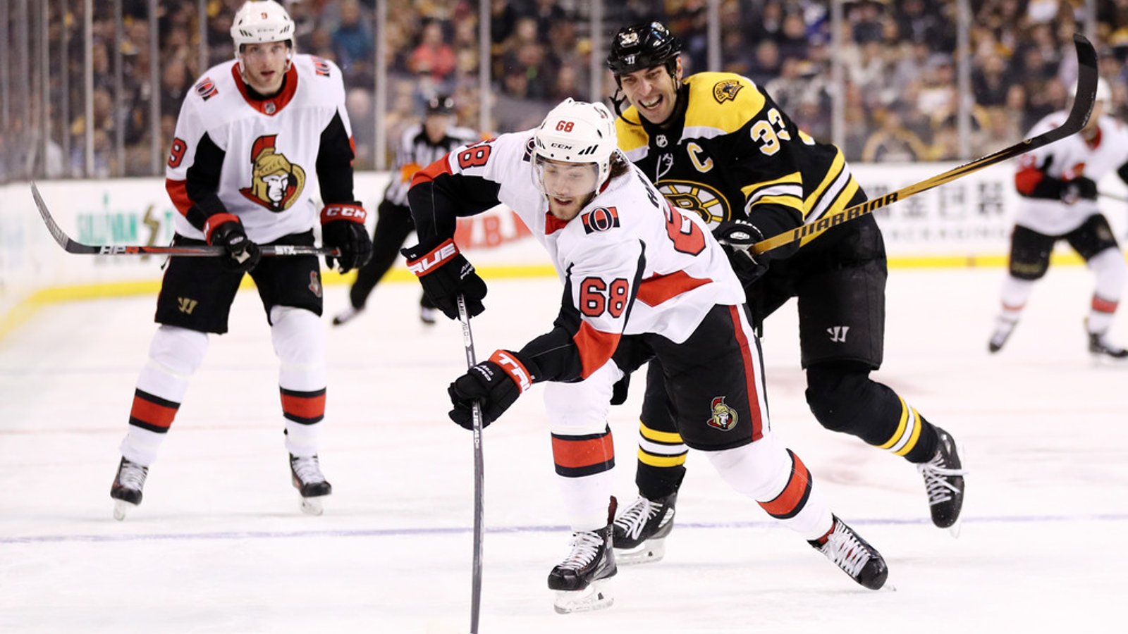 Bruins will have to bid Chara adieu if Mike Hoffman rumours are true! 
