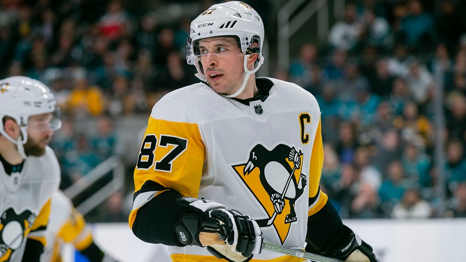 Penguins cancel practice and scrimmage on Saturday.