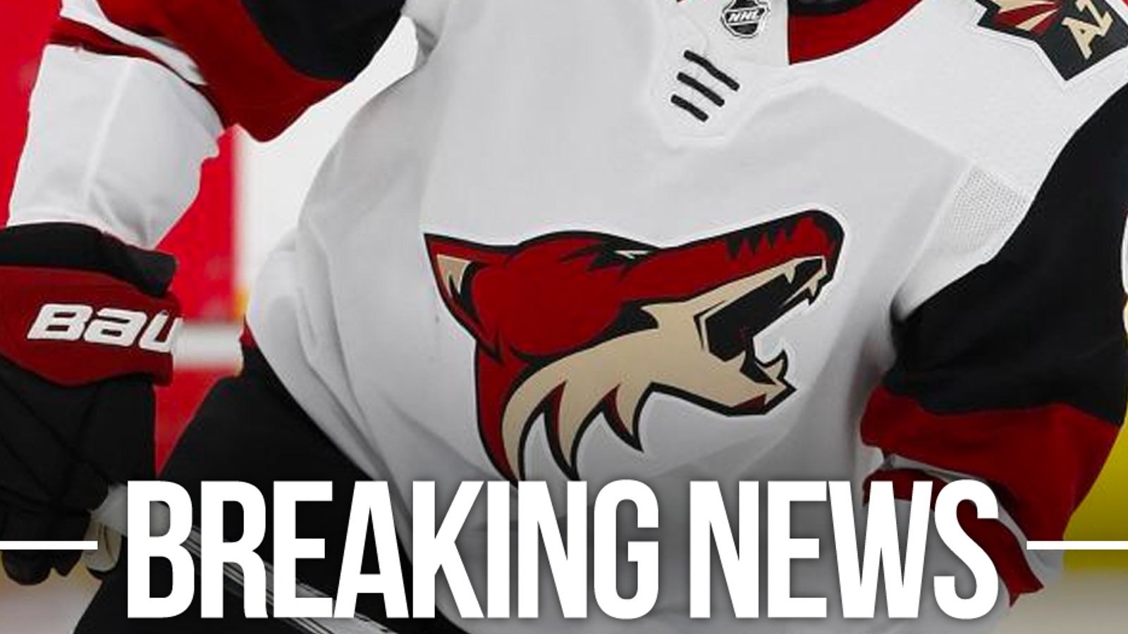 Investigation into Coyotes reveals major dysfunction and crippling financial woes