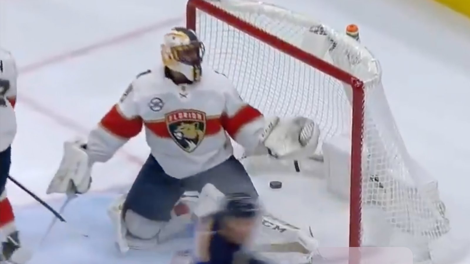 Roberto Luongo remembers his own controversial moment with disgraced ref Tim Peel 