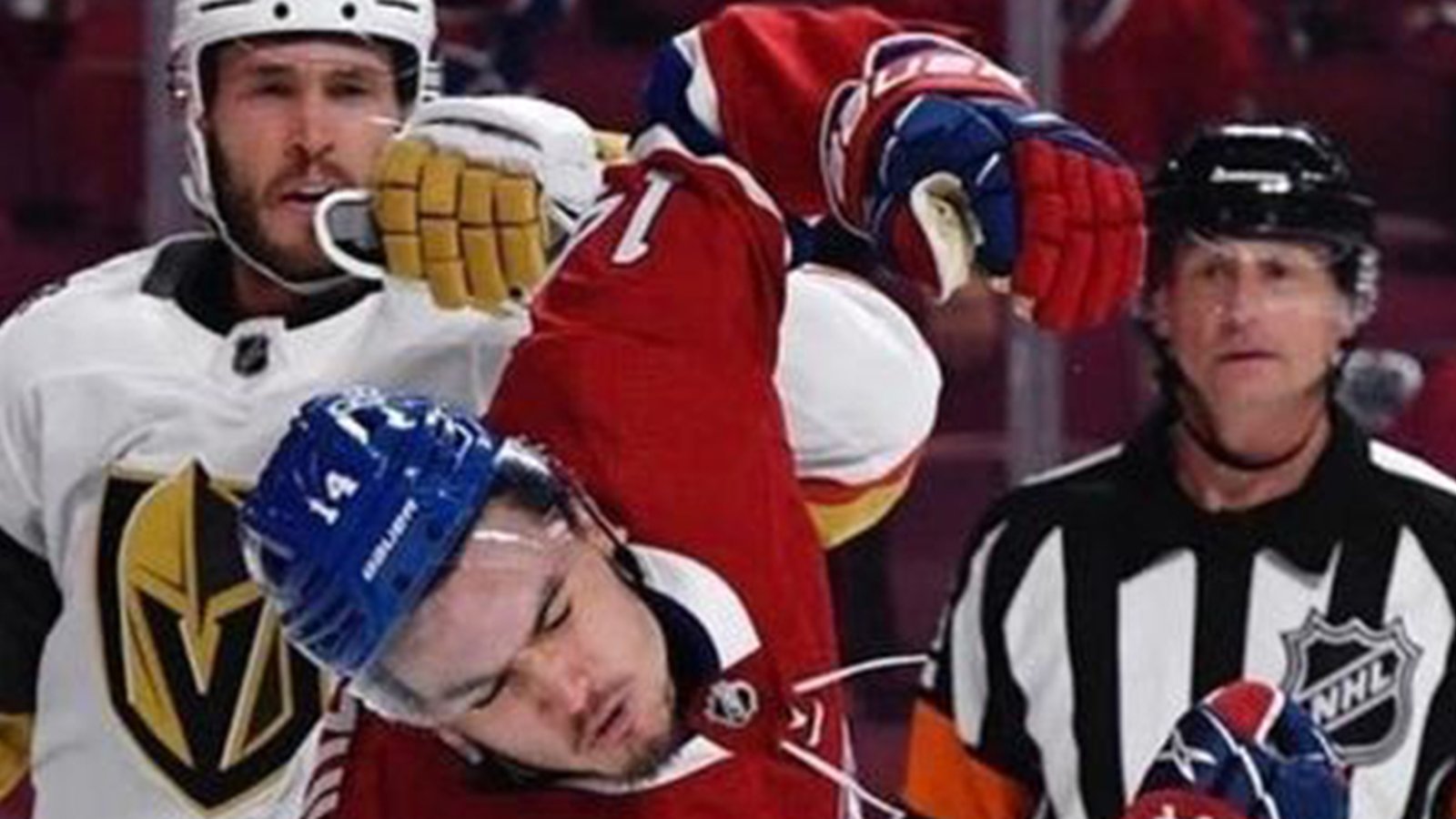 Hockey fans were envious of NHL refs after seeing one person's