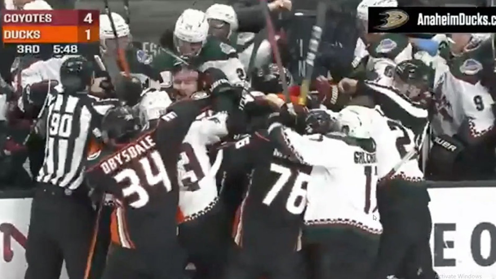 Ducks players start throwing punches at Coyotes bench and all Hell breaks loose!