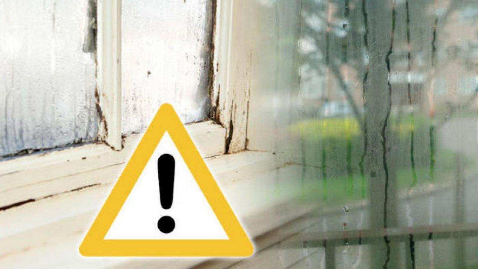5 astuces simples et pratiques pour se débarrasser de la condensation dans votre maison