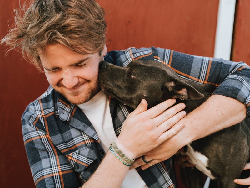 If your dog does any of these 8 things, it means he really loves you!